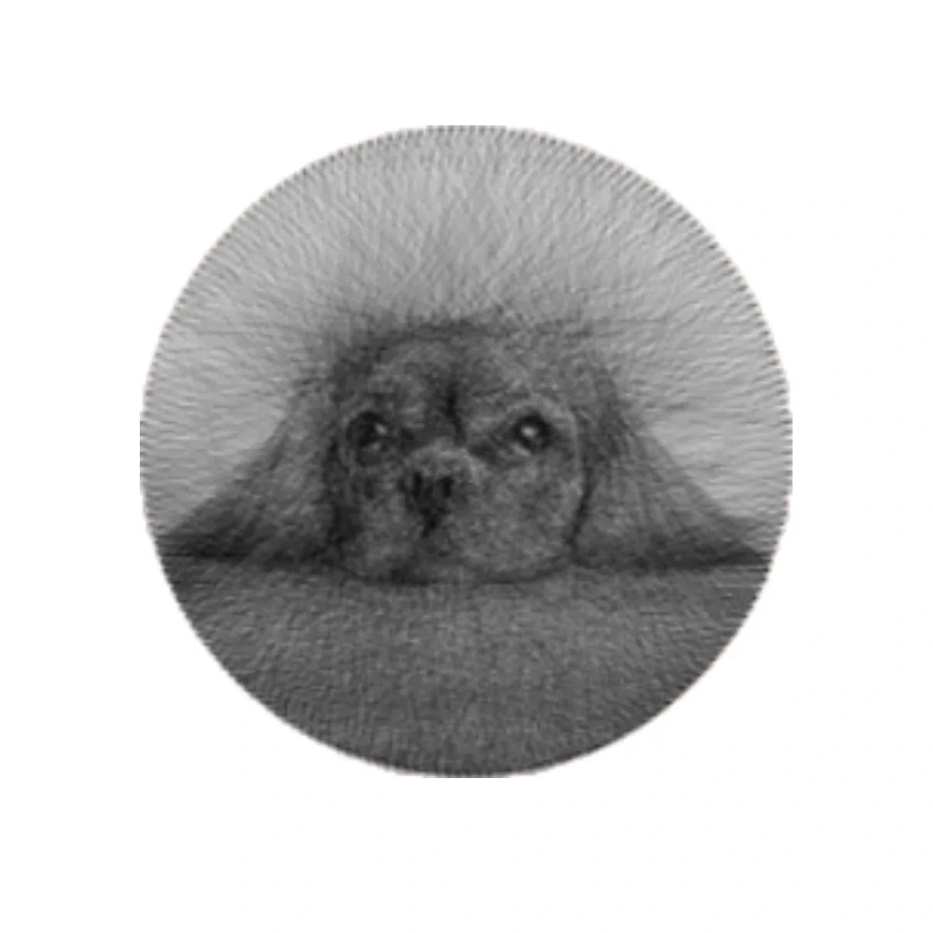 Custom Pet String Art Portraits – Unique Personalized Pet Memorial Gifts for Dog and Cat Owners - Stitch&Gift